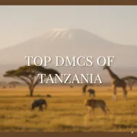 TOP DMCs OF TANZANIA