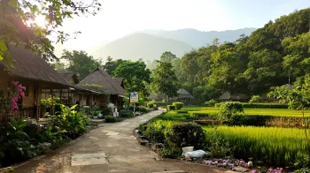Rediscovering Tranquility: Solo Travel in Mawlynnong 2026