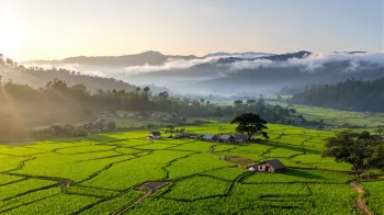 The Secret Antidote to Tourist Overload: 7-Day Escape to Ziro Valley, 2026