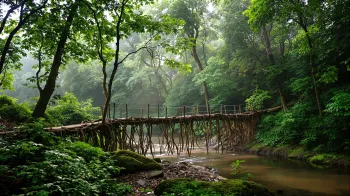 How Meghalaya's Living Root Bridges Will Transform Your Journey 2026