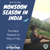 Monsoon Season in India - The Best Reason to Plan a Trip