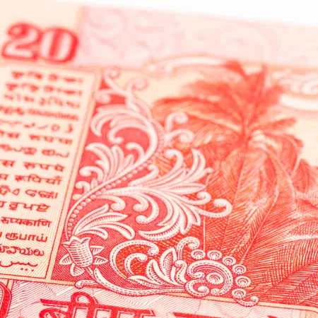 7. The Andaman and Nicobar Islands are depicted on the 20 rupee note