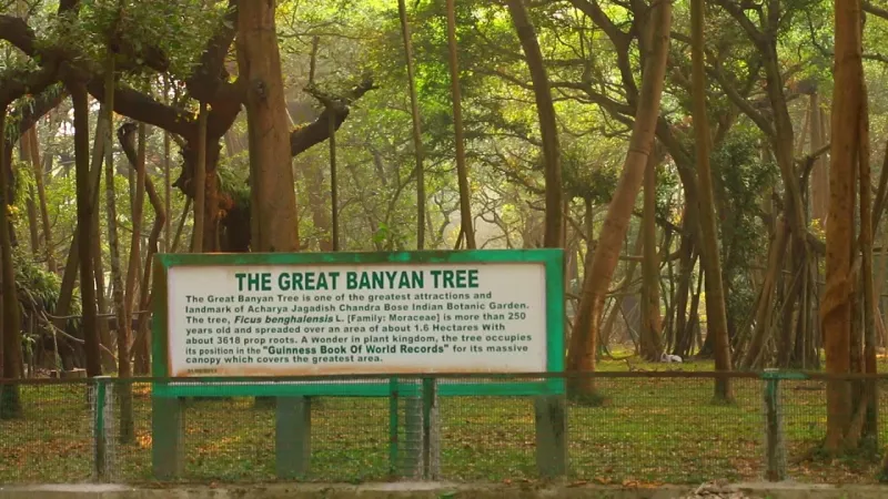 Spend a day at Acharya Jagadish Chandra Bose Indian Botanic Garden