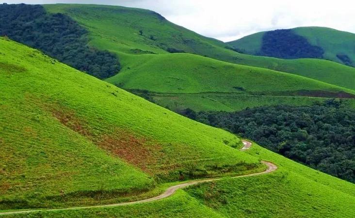 A day-out at Kemmangundi