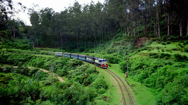 Detoxify yourself at Ooty