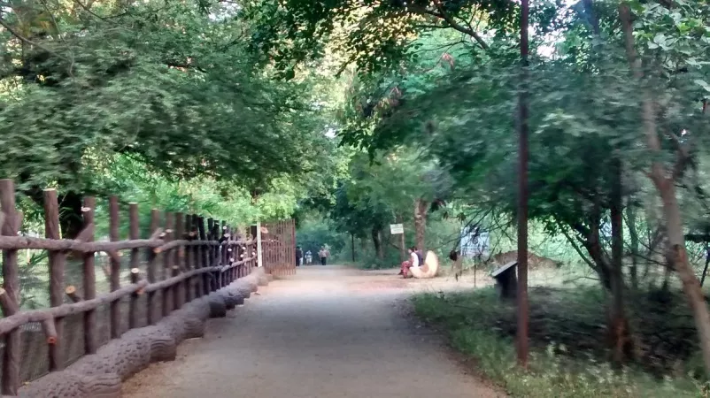 Stroll at the Victoria Nature Park