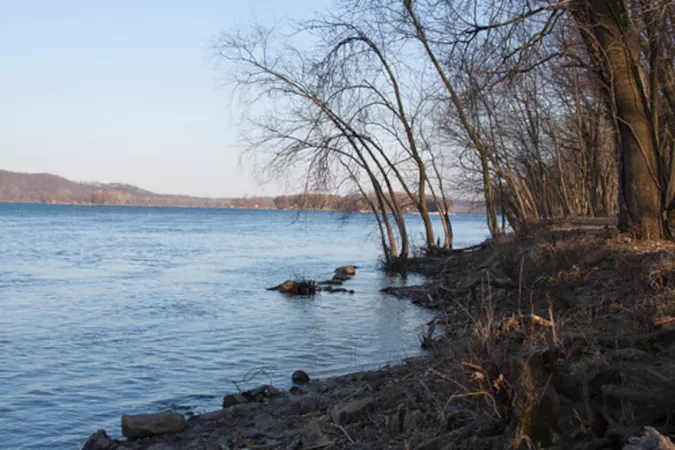 Pack your picnic basket for Tandula