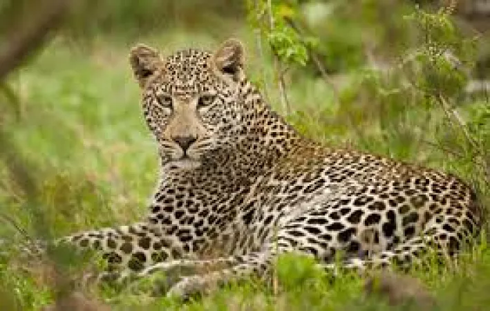 Set for an adventure at Van Vihar National Park