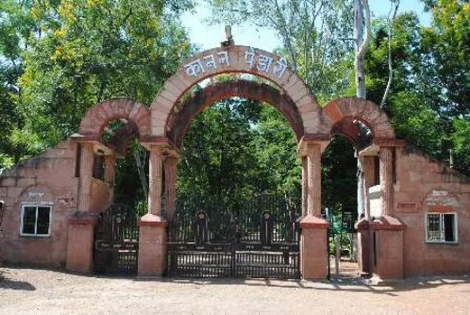 Study the wild at the Kanan Pendrai Zoological Garden