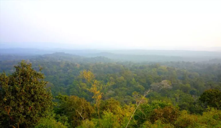 Pack your picnic basket for Achanakma