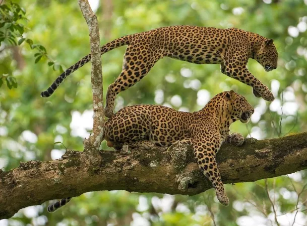 Set for an adventure at the Debrigarh Wildlife Sanctuary