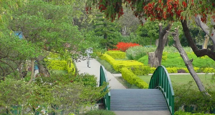 Feel the calmness of Leisure Valley