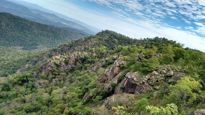 3. Hike to the Karadiyur View Point