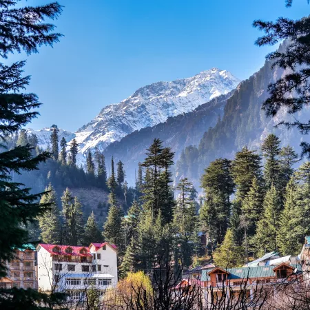 9. Manali