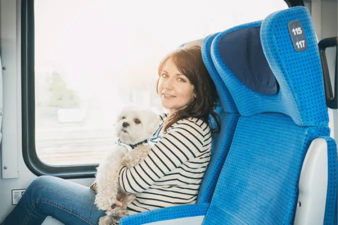 How to travel with a dog by train
