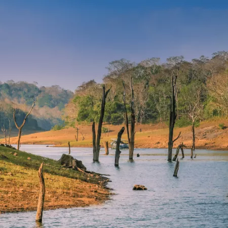 4. Periyar National Park, Kerala