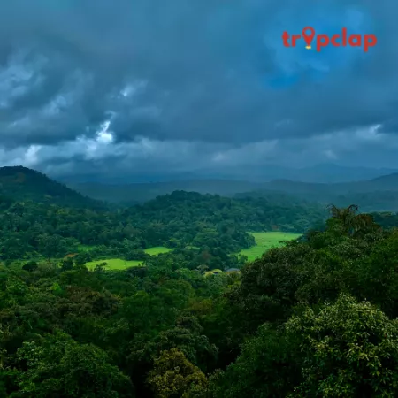 7. Coorg