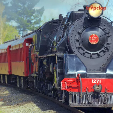 What to Expect on a Luxury Train Journey in India