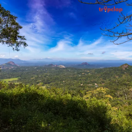 2.6. Sabarimala Kerala