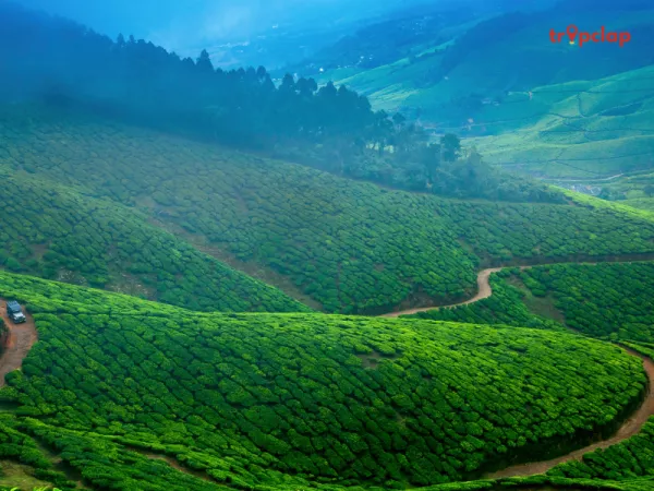 10. Munnar, Kerala