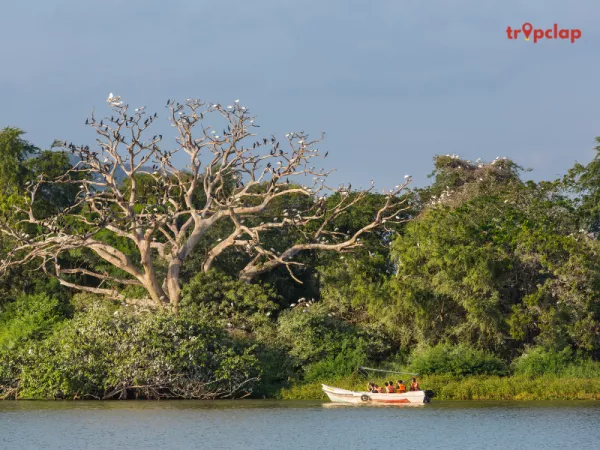 7. Periyar National Park, Kerala