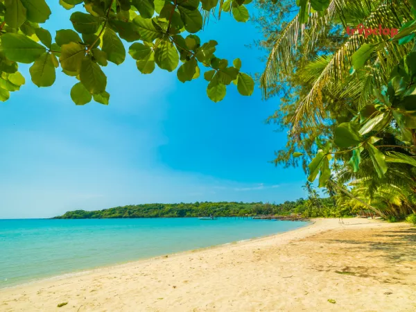 8. Padubidri Beach (Karnataka)