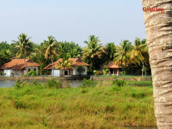 7. Periyar Wildlife Sanctuary