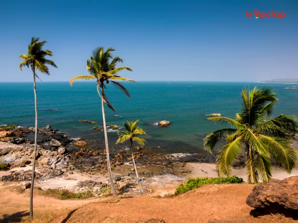 8. Candolim Beach