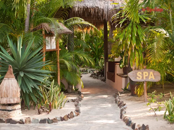 3. The Westin Sohna Resort and Spa