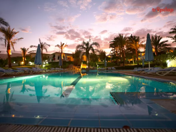 1. The Machan Resort