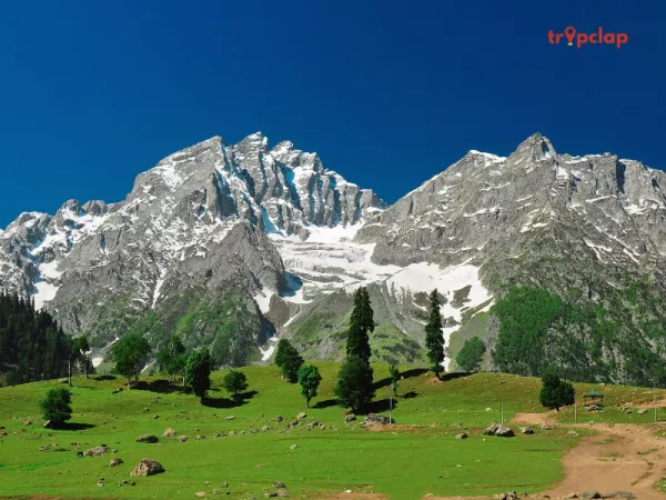 Jammu and Kashmir  (UT established 2019)