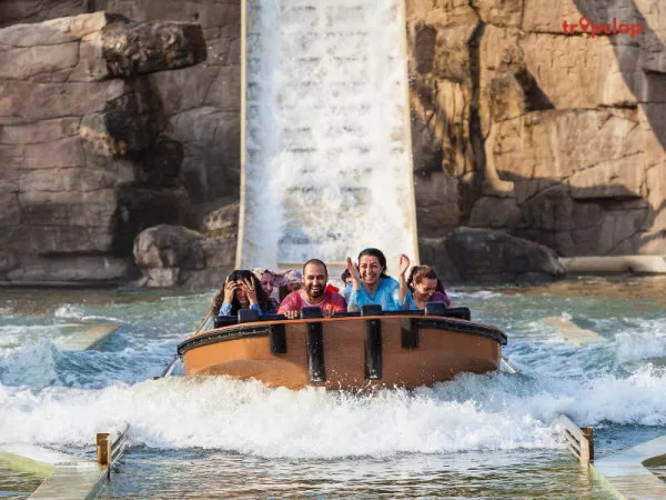 Best Familymoon Themes