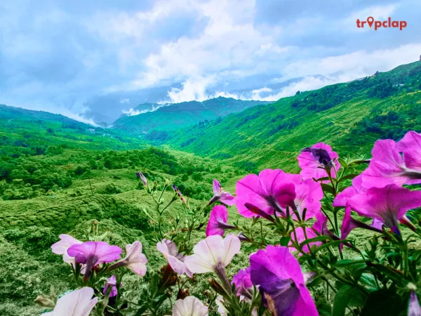 Best familymoon destinations in India