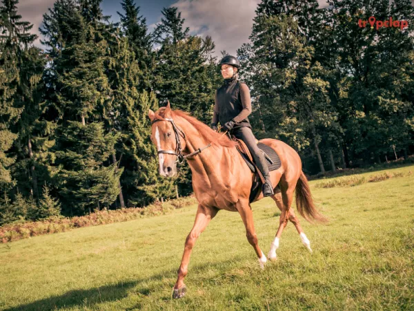 Things to do and see 