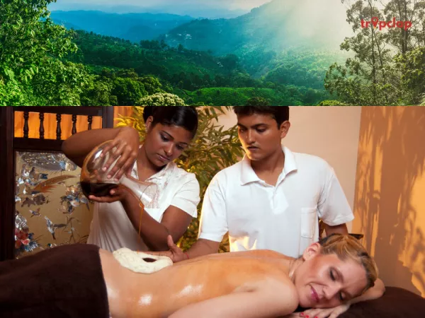 2. Somatheeram Ayurveda Resort, Kerala: