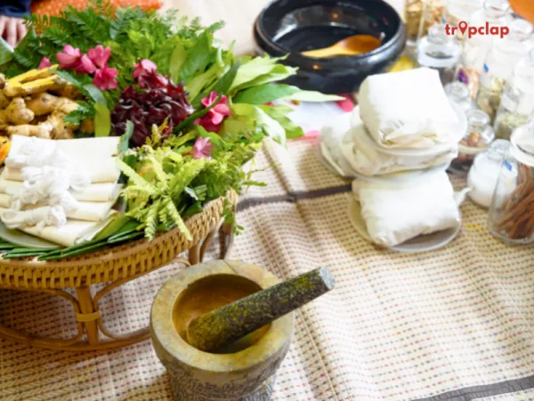 5. Vana Malsi Estate, Uttarakhand: 