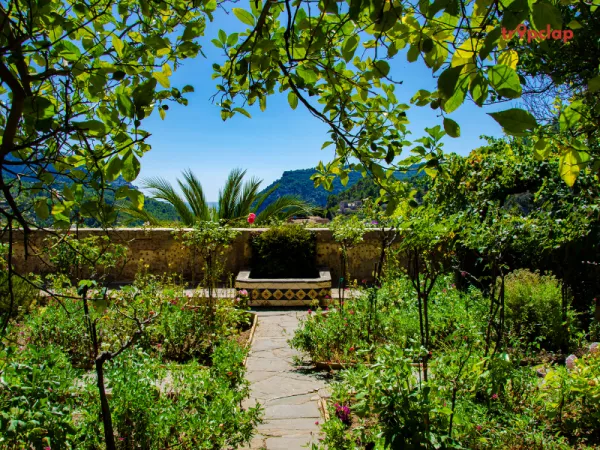 8. Vivanta by Taj Bekal