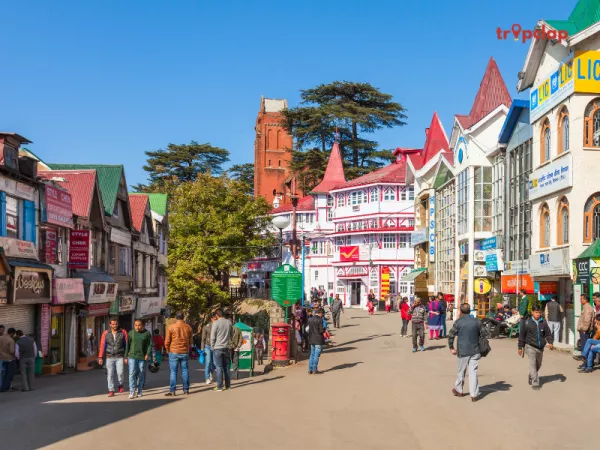  9. Shimla