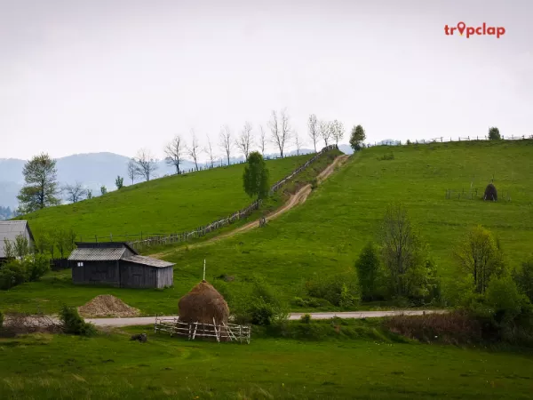 Apuseni Natural Park - A Nature Lover's Paradise
