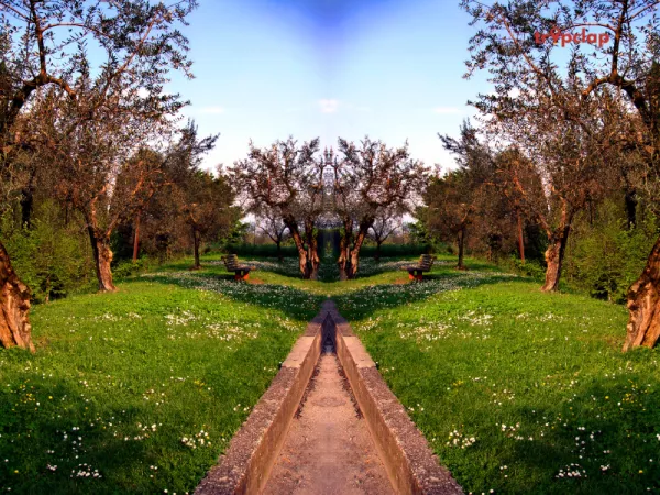 Giardino Garzoni, Tuscany, Italy