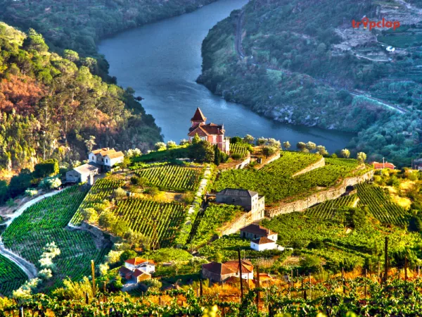 Douro Valley, Portugal