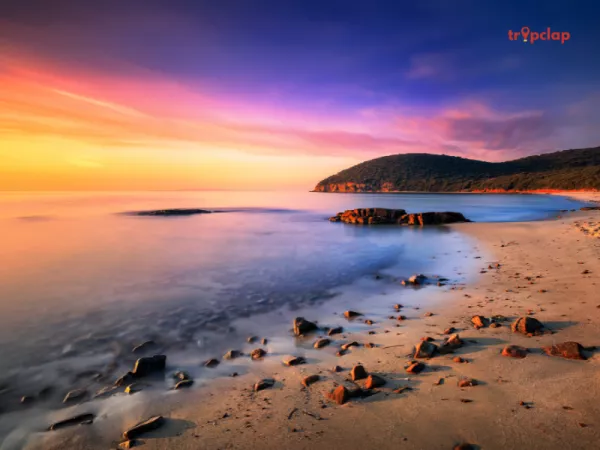 Cala Violina, Tuscany