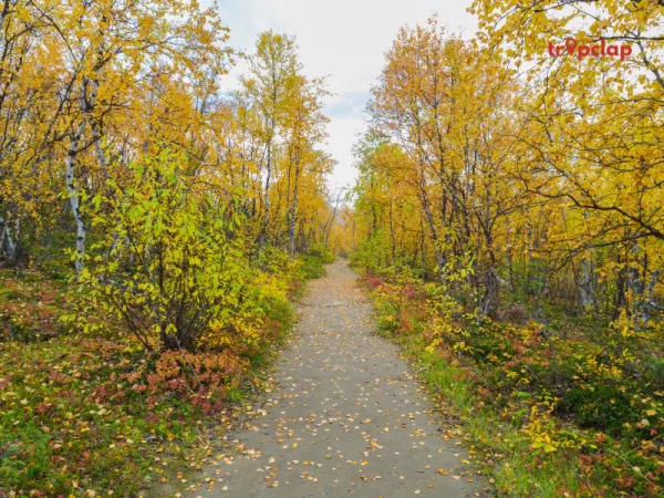 The Kungsleden, Sweden