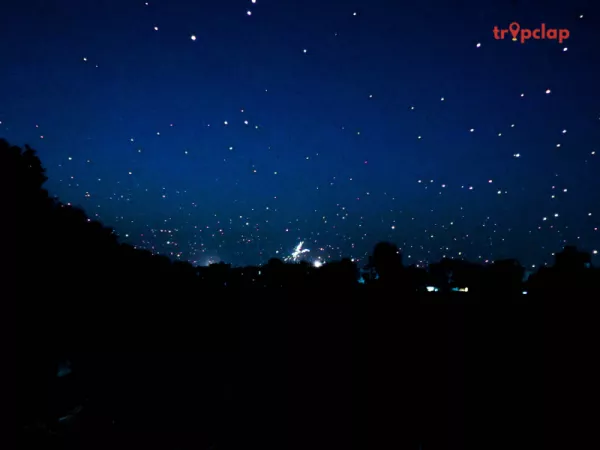 The White Night Festival, Russia