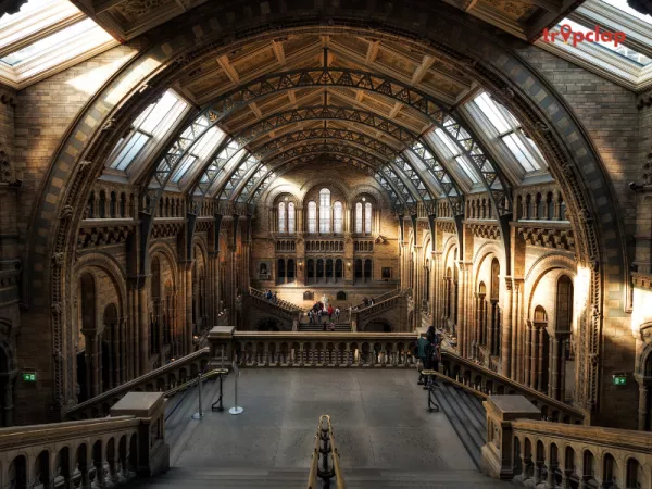 Visit the Free Galleries