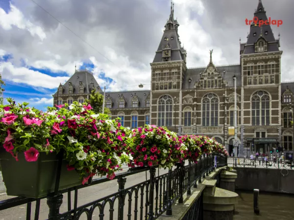 Visit the Flea Markets