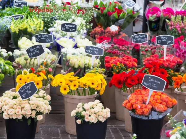Visit the Flower Market
