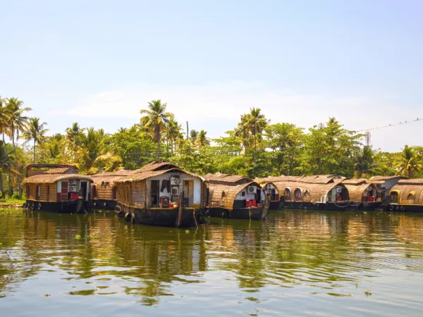 2.7 Alleppey