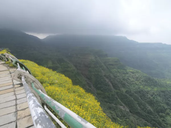 4.5 Malshej Ghat