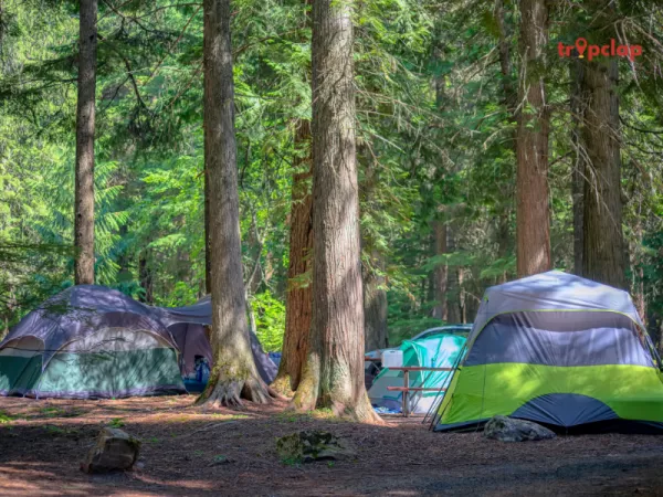 Simlipal National Park